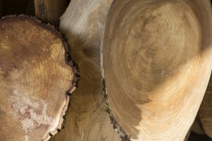 Zagerij en Houthandel Van Zwienen Made12